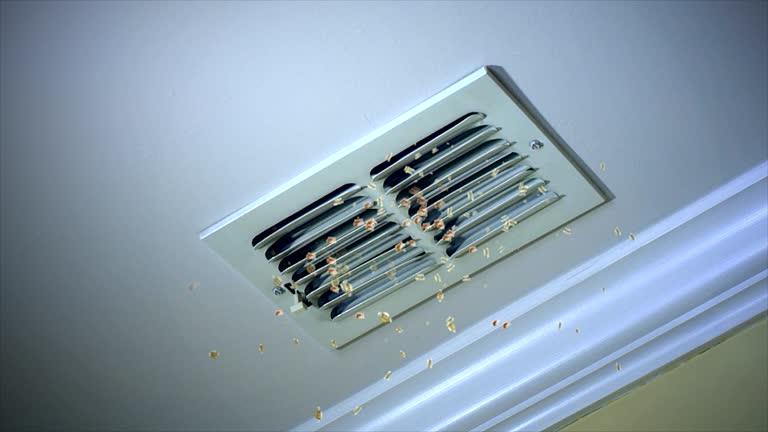 Best Home Air Vent Cleaning  in Evansville, IN